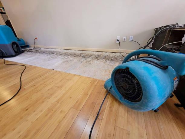 Professional Flood Damage Cleanup technician working in West Bethel, ME